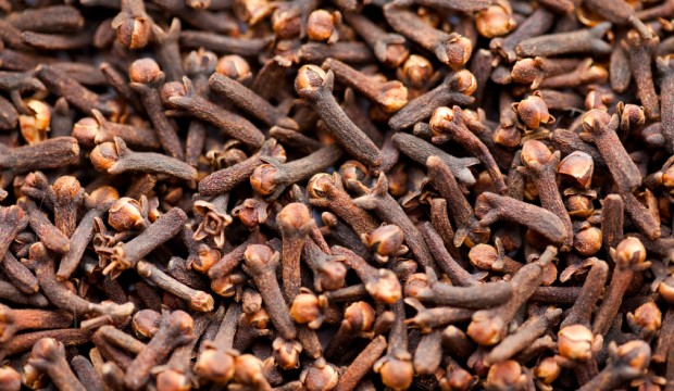 cravo da índia