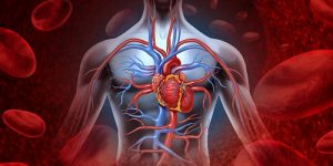 alimentos anti-inflamatórios