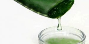 suco de aloe vera