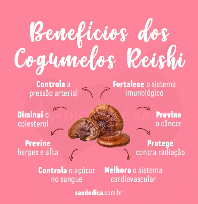 beneficios do cogumelos reishi