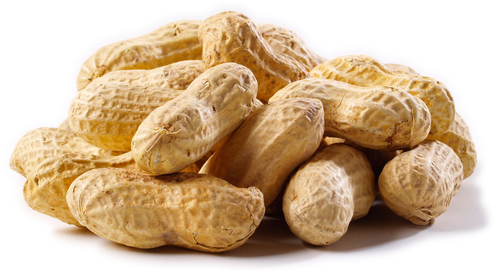 Benefícios do Amendoim Para Saúde