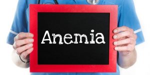 Alimentos Bons Para Anemia