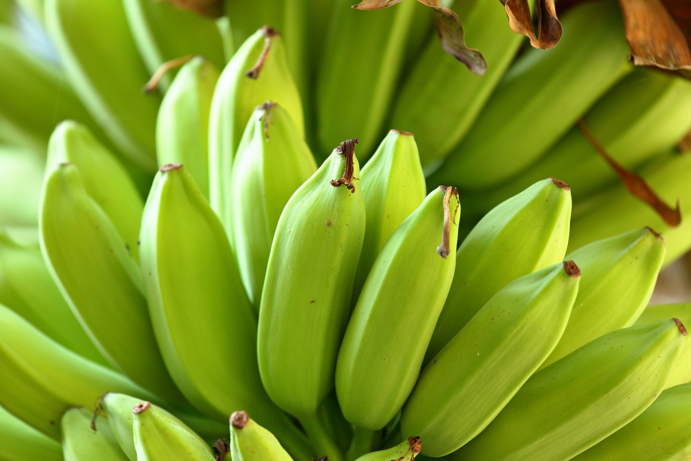 Dieta da Banana Verde para perder 8kg em 1 mês