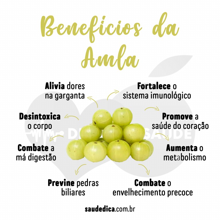 Benefícios da vitamina de amla para saúde