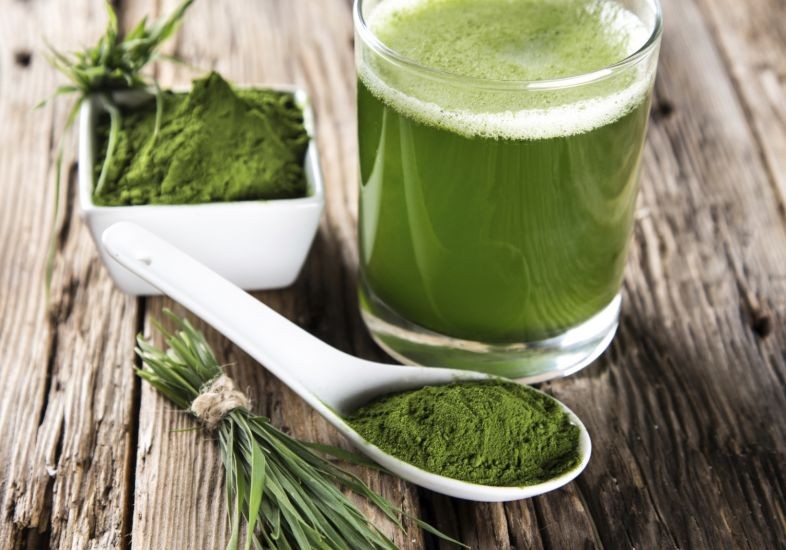 16 Beneficios Do Cha De Matcha Para Que Serve E Caracteristicas Dicas De Saude