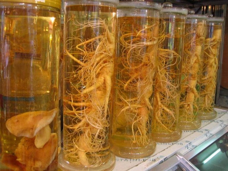 10 Benefícios do Chá de Ginseng Para que Serve e Características