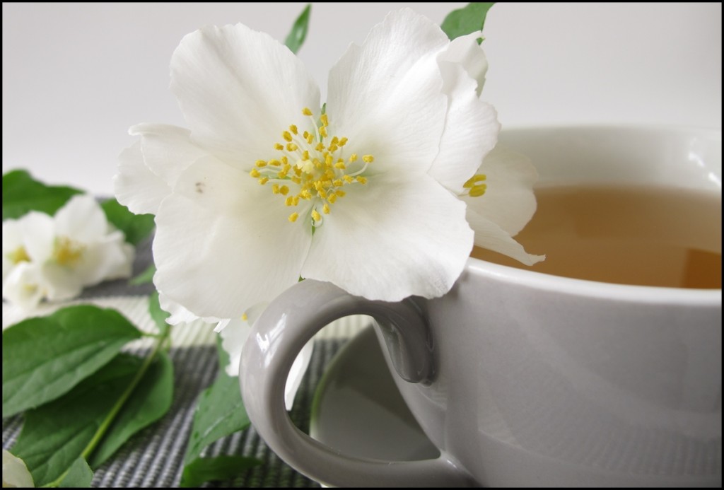 Benefícios do Chá Branco