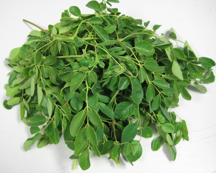 Benefícios da Moringa