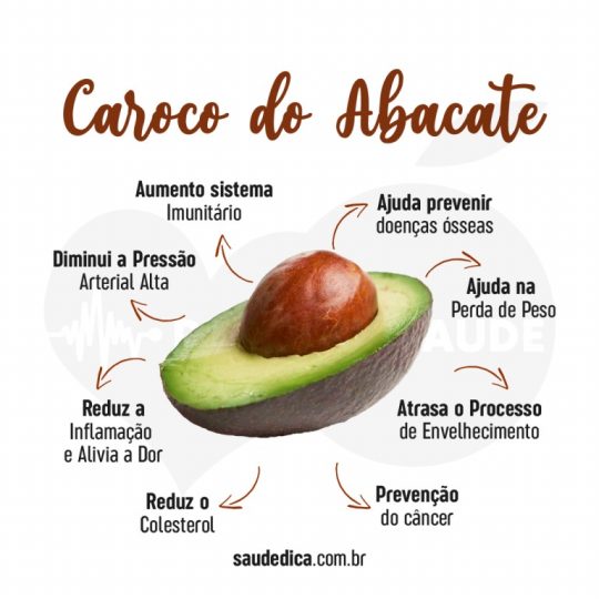Caroço do Abacate: Para que serve, benefícios, malefícios, receitas e ...
