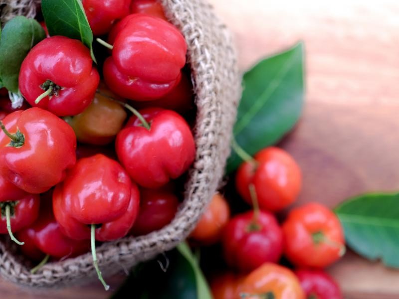 acerola fruta