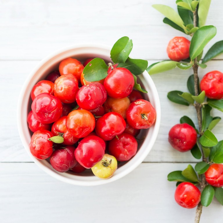 acerola fruta