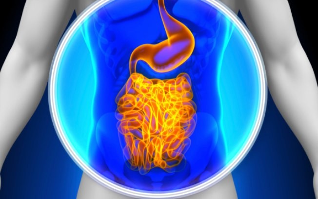 saude intestinal 2