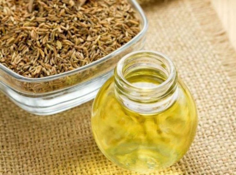 15 Benefícios do Óleo de Ajwain Para que Serve e Características Dicas de Saúde