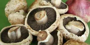 Benefícios do Cogumelo Portobello