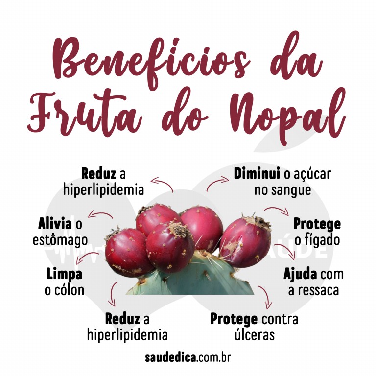 Benefícios da Fruta do Nopal para saúde