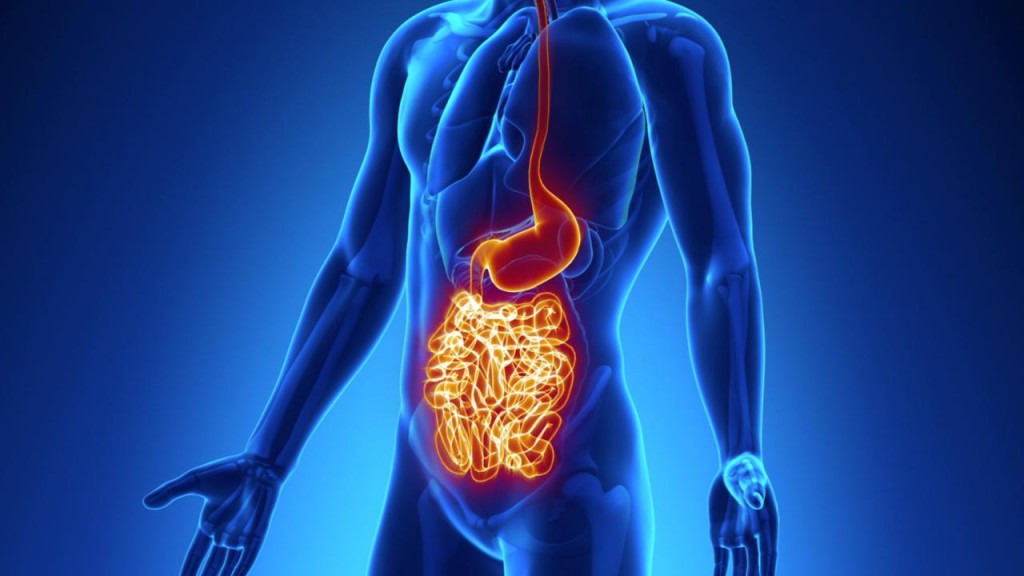 Os 11 Remedios Caseiros Para Doença De Crohn