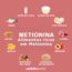 Alimentos ricos em metionina