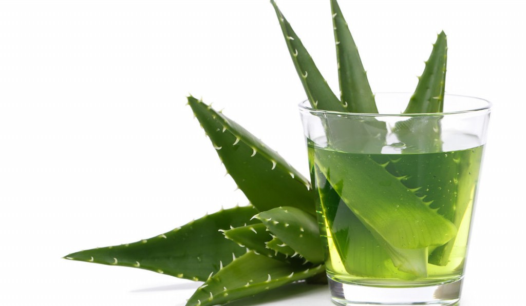 aloe vera efeitos colaterais