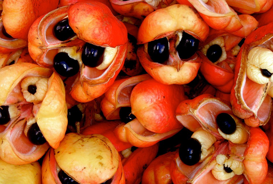 beneficios do Ackee