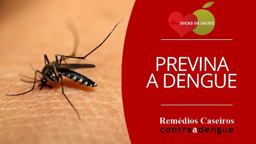 dengue remedios