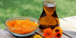 os-7-beneficios-do-oleo-da-calendula