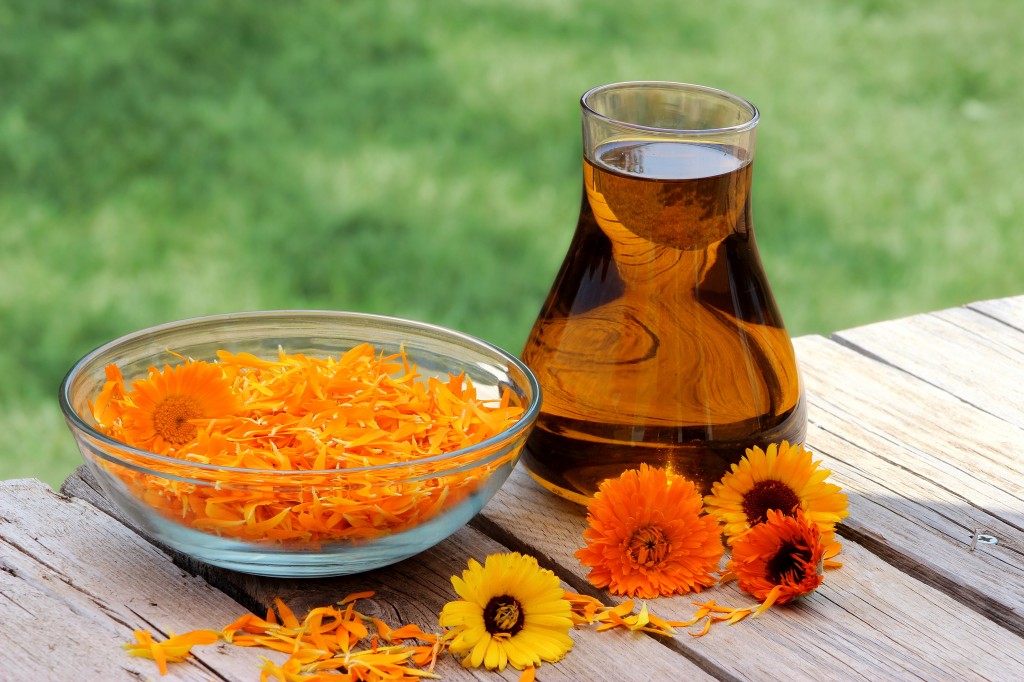 os-7-beneficios-do-oleo-da-calendula