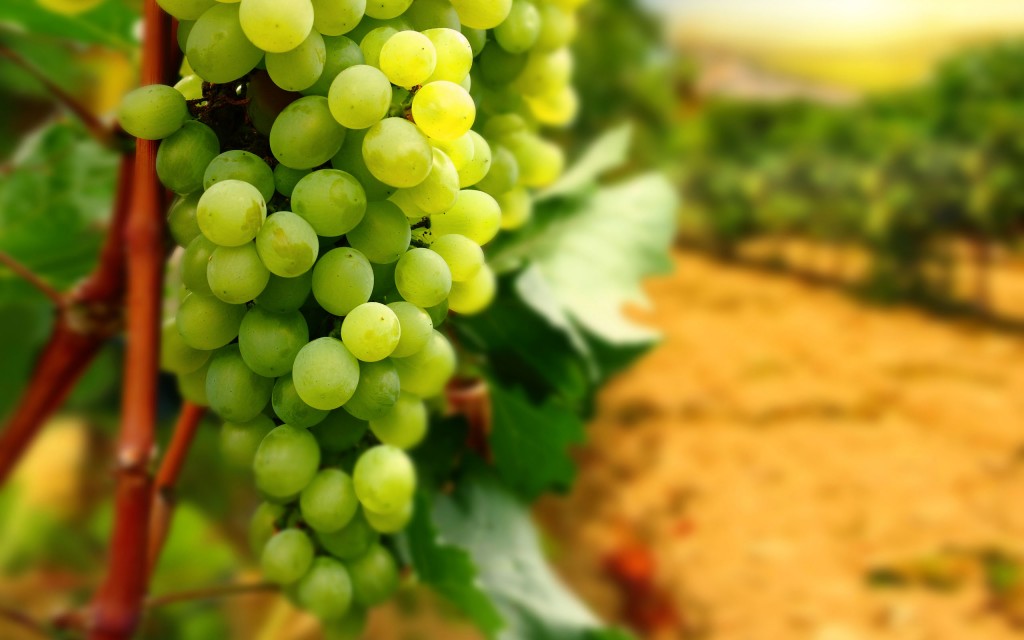 Os 10 efeitos colaterais da uva para saúde