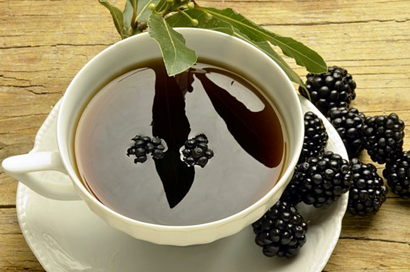 Chá de Amoreira Negra Para Pedra nos Rins!