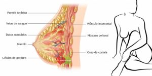 coisas-que-toda-mulher-precisa-saber-sobre-cancer-da-mama