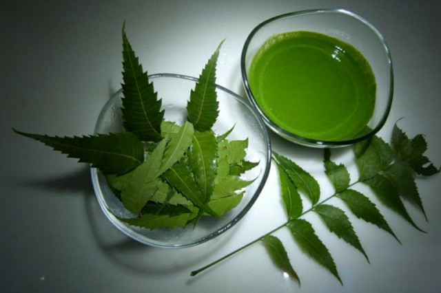 Neem