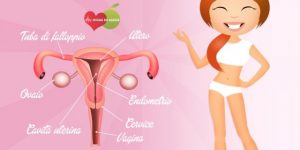 Como se Livrar do Odor Vaginal