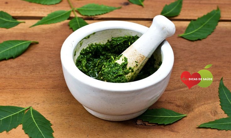 Neem Para Pele