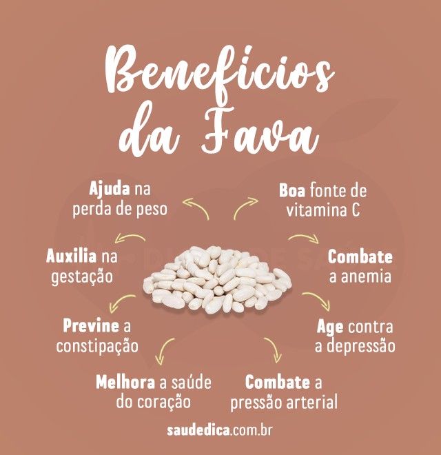 beneficios da Fava