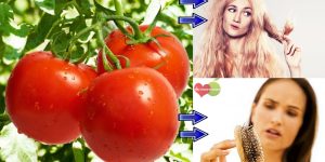 Tomate Para o Cabelo