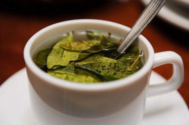 Os 5 Efeitos Colaterais do Chá da Folha de Coca 【ATUALIZADO】