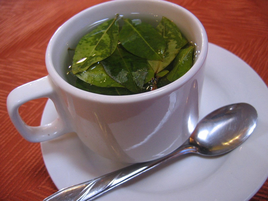 cha-de-coca