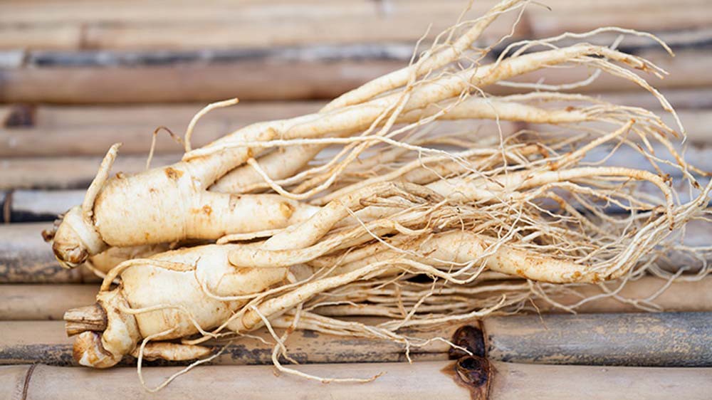 Benefícios do Ginseng