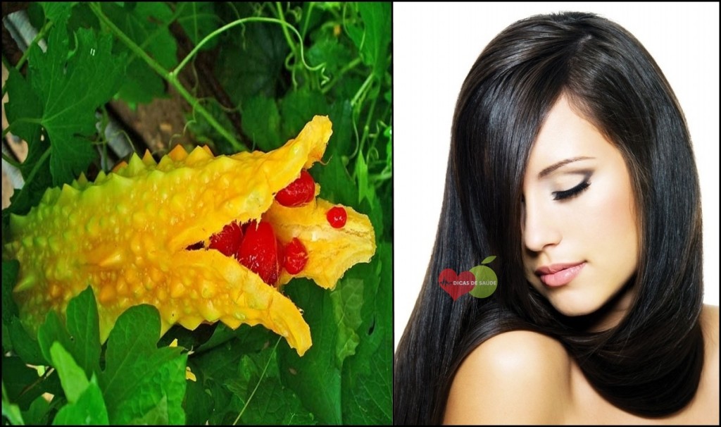 Melão Amargo para o cabelo: veja os 10 benefícios da fruta