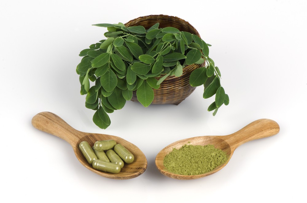 moringa-moringa