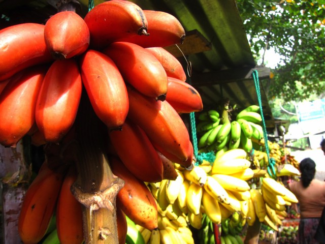 Banana Vermelha Banana Vermelha