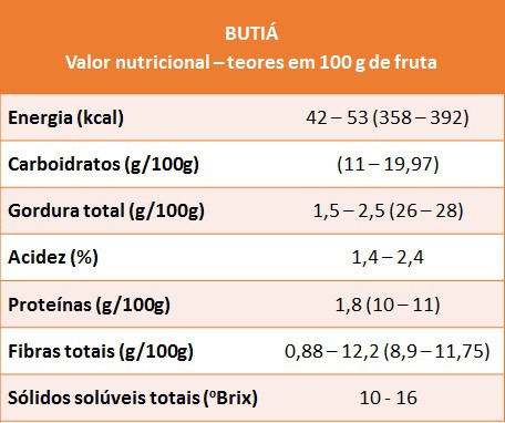 Benefícios do Butiá