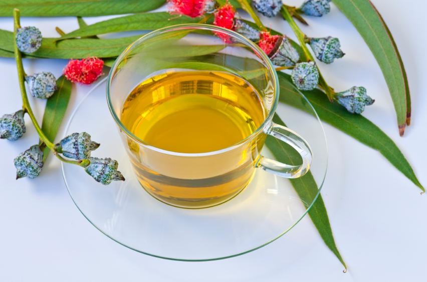 Chá de erva doce para tratar a bronquite: como fazer, receitas e dicas
