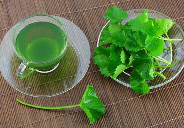 Chá de Salsinha Para Tratar Cálculos Renais【Receita Completa】