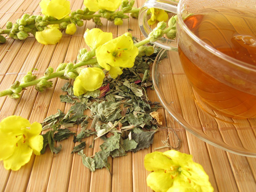 Benefícios do Chá de Verbascum