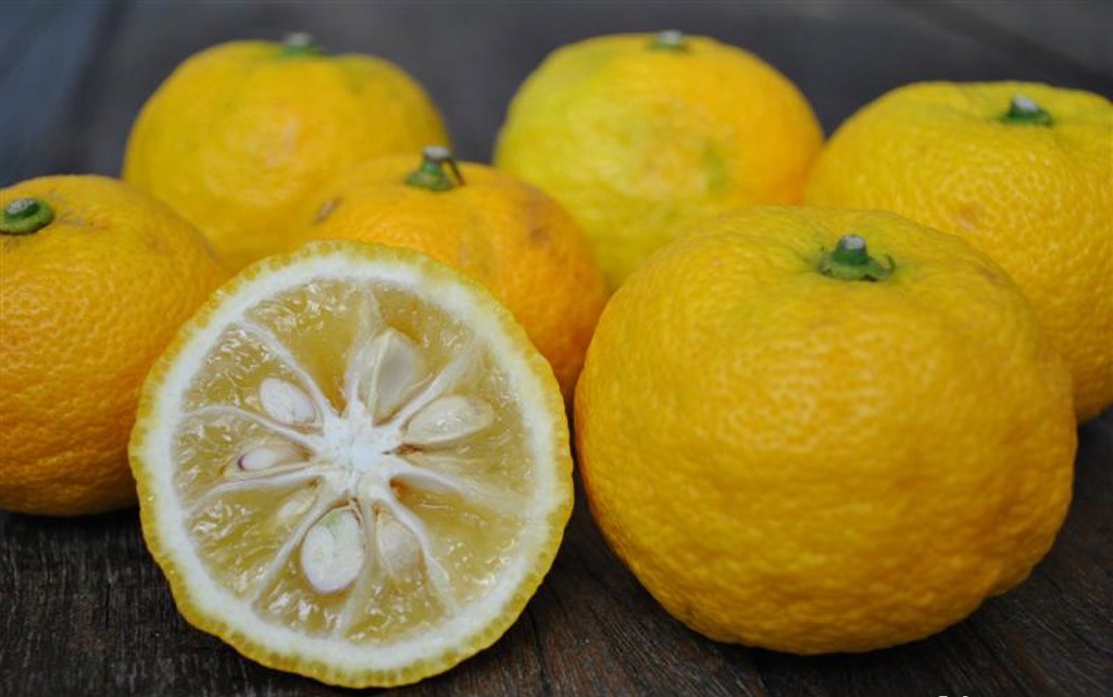 Benefícios do Limão Yuzu Para Saúde