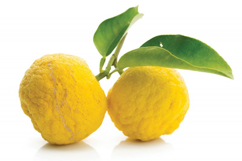 Lima Yuzu Lima Yuzu