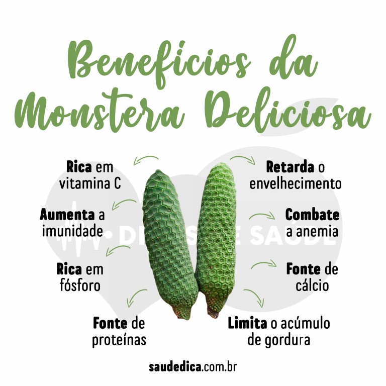 Benefícios da Monstera Deliciosa para saúde