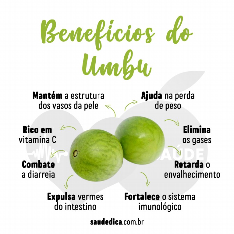 Benefícios do Umbu para saúde