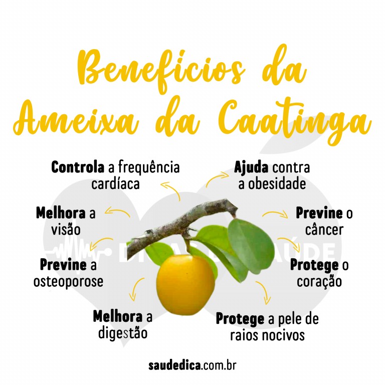 Benéficos da Ameixa da Caatinga para saúde