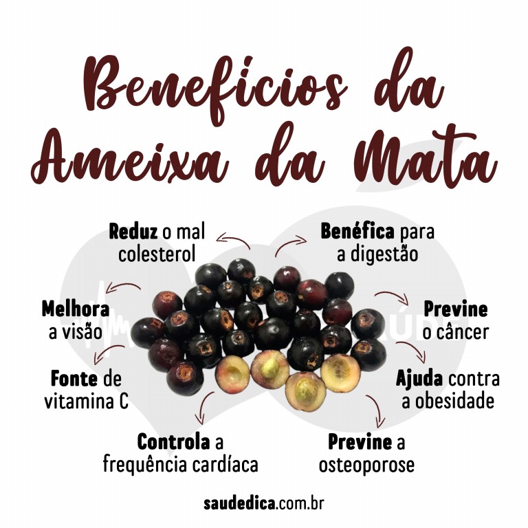 Benéficos da Ameixa da Mata para saúde